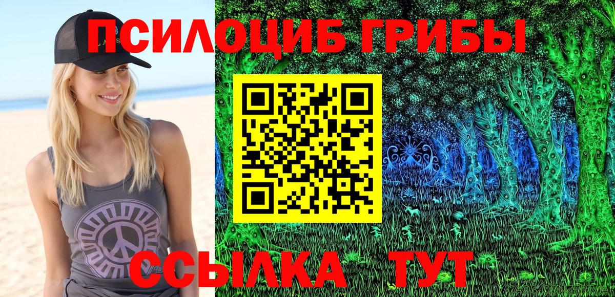 Галлюциногенные грибы прущие грибы  Вход с VPN  Нижний Новгород 